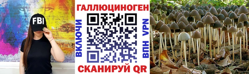 продажа наркотиков  Новотитаровская  ОМГ ОМГ зеркало  Галлюциногенные грибы прущие грибы 